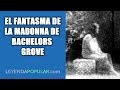 👻 El fantasma de La madonna de Bachelors Grove, la aparición fantasmal melancólica 😉