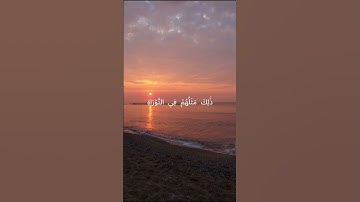 محمد اللحيدان سورة الفتح (الآية 29)