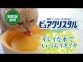 猫用　フィルター式給水器　ピュアクリスタル