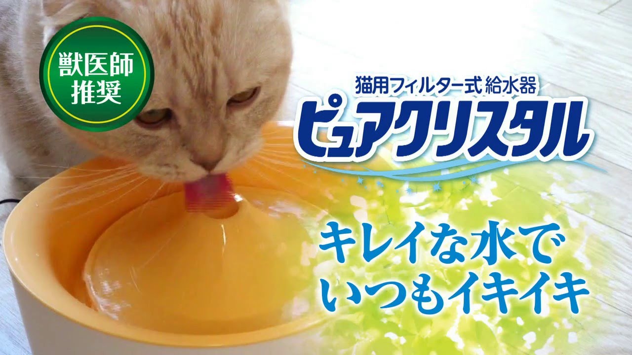 猫用 フィルター式給水器 ピュアクリスタル - YouTube