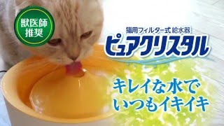 猫用　フィルター式給水器　ピュアクリスタル