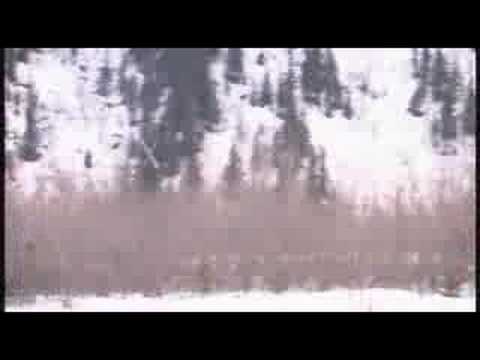 Valdez Heli Camps meets Dongshow Productions, Ski Beer Guns