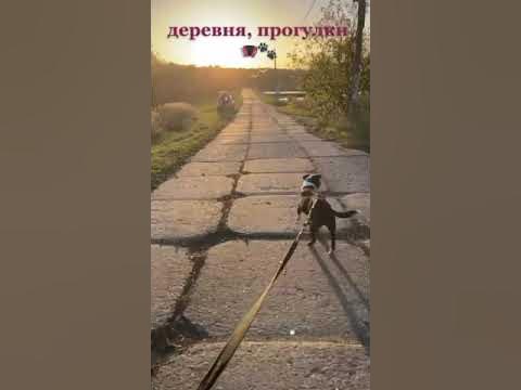 Енисей - YouTube