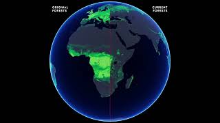 Bioconscience. Évolution globale des forêts depuis 12 000 ans