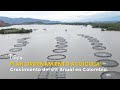 Plan Ordenamiento Acuícola: Crecimiento del 6% Anual en Colombia - TvAgro por Juan Gonzalo Angel