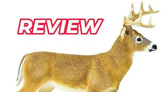 Large Buck Whitetail Deer Wild Safari LTD Toys Wildlife Mammal Action Figure Review
