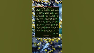 والشمس وضحها 💛سورة الشمس حالات واتس اب🌷 دينية قصيرة Quran status 🌻