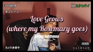 Love Grows Where My Rosemary Goes Cover Adrielle Chen