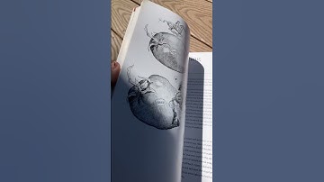 My Top 5 Art Books for Beginner Artists! #artbooks #artbookrecommendations