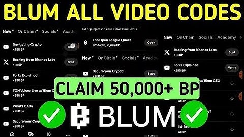 Blum all verify codes/ Blum new verify codes ✅️