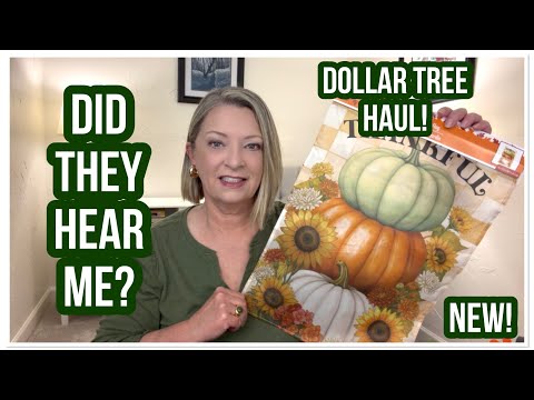DOLLAR TREE HAUL | Did They Hear Me? | YAY! | DT NEVER DISAPPOINTS m😁 #haul #dollartree