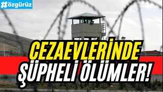 Cezaevlerinde Intihar Edenler Engellenmiyor Mu? Ysp Milletvekilinden Açıklama