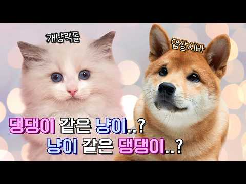 우리 둘의 영혼이 바뀌었다고..?
