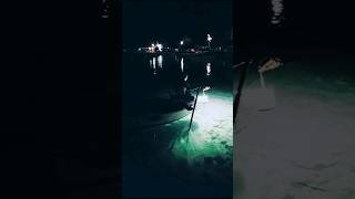 Vintage Dalmatia Mood Tonight, Fishing Under The Light