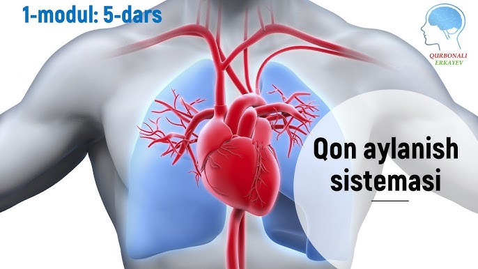 Odamlar yalangoch yuradigan plyajning nomi nima?