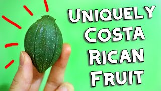 Tacaco - How To Eat This Rock Hard Fruit - Weird Fruit Explorer