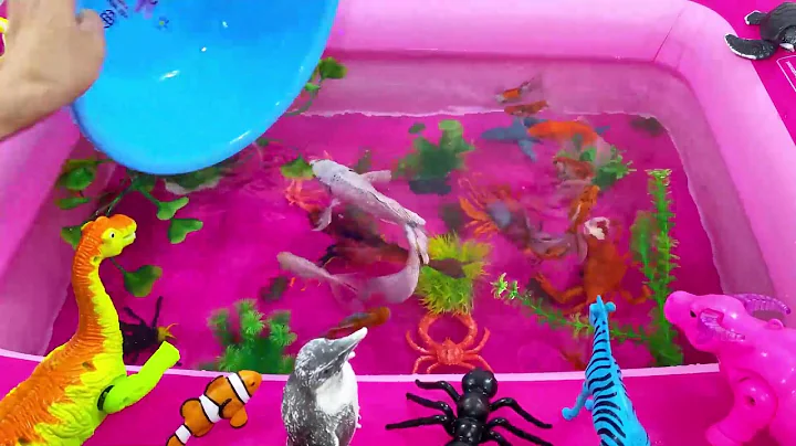 Let's explore what fish and sea creatures there are:sharks,jellyfish#goldfish#animals#viral videos