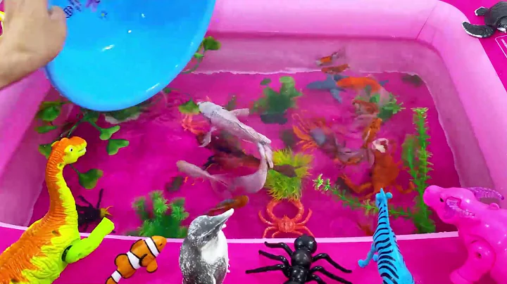 Let's explore what fish and sea creatures there are:sharks,jellyfish#goldfish#animals#viral videos