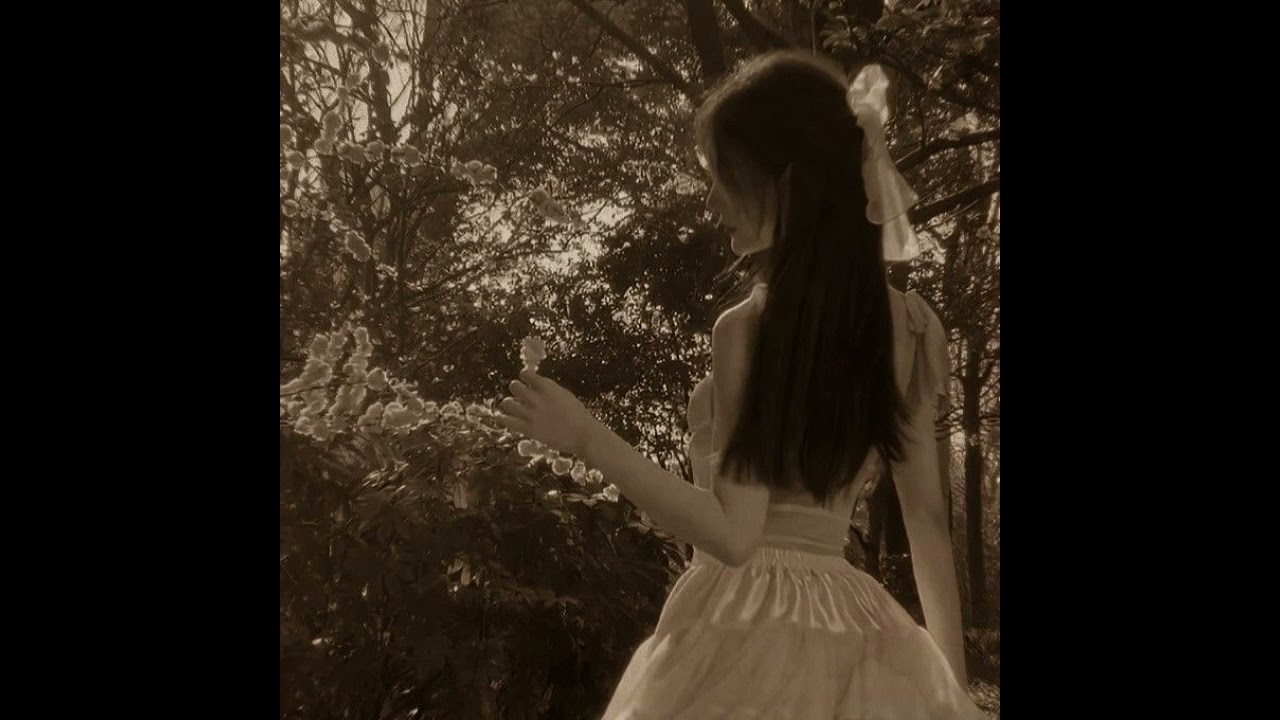 Every man gets his wish- Lana del rey- Accapella