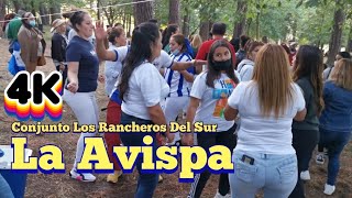 La Avispa Y La Bailamos La Del Conjunto Los Rancheros Del Sur Resimi