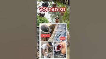 Nếu bạn vẫn đang sử dụng vòi tưới cây mà gặp tình trạng Gập ống #kaozu #tuanbonsai