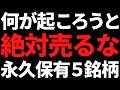 この株達は絶対に売るな！暴落買い＋永久保有をおすすめする厳選５銘柄【2026最新版】