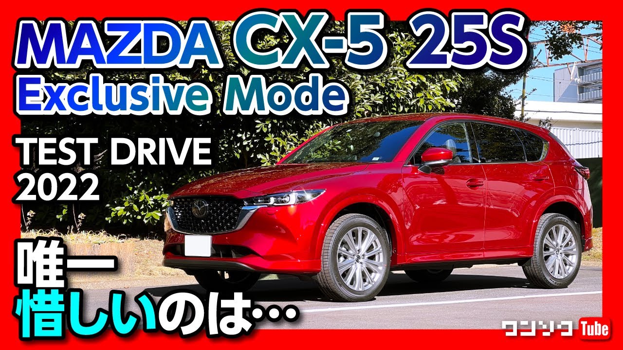 マキ様　確認用 の様確認用 しゃた様確認 ちーふ様確認用 ハチ様確認用 DR ZX