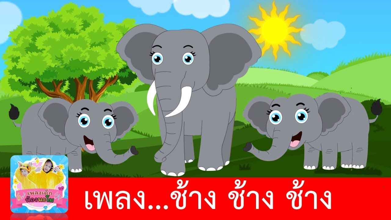 ช้าง ช้าง ช้าง น้องเคยเห็นช้างหรือเปล่า |  สื่อการเรียนการสอนเด็กอนุบาล | เรียนรู้เรื่องสัตว์