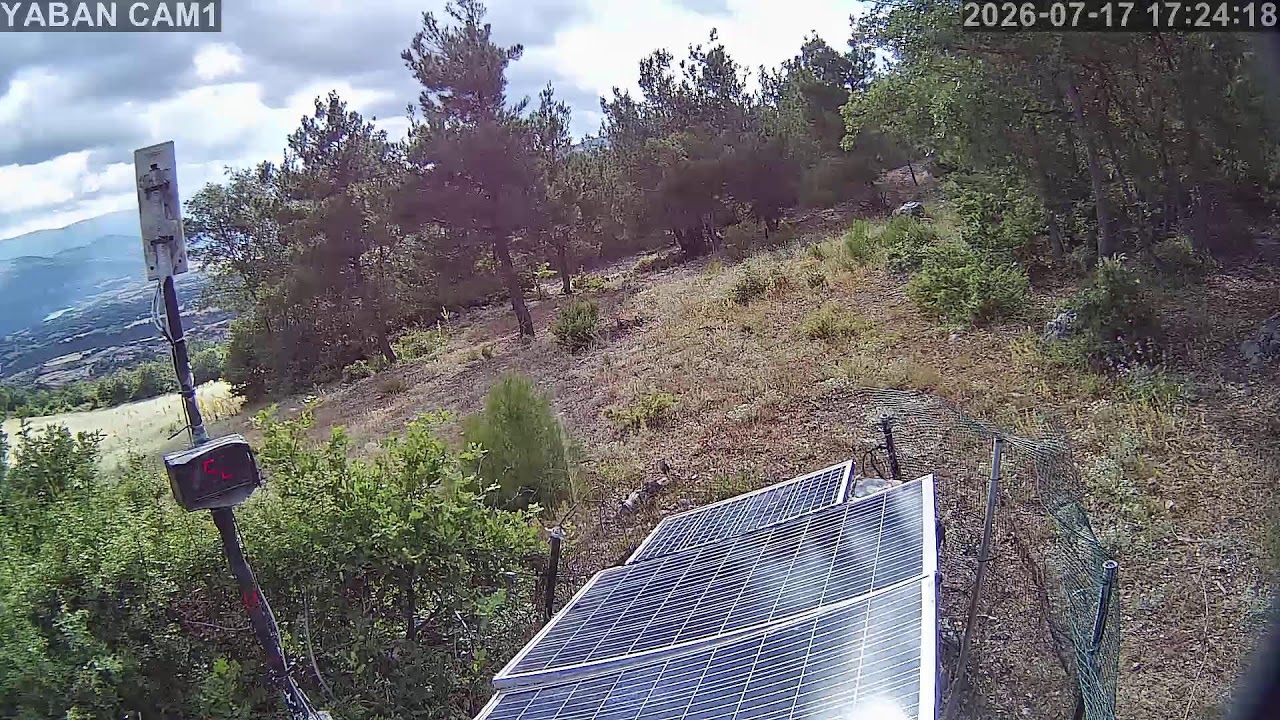 Live webcam view of Erbaa Wildlife Hillside Cam