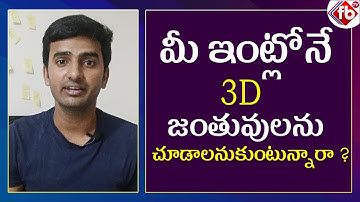 Hands-on With All of  Google 3D Animals AR For Better Visual | FB TV | Asvi Media