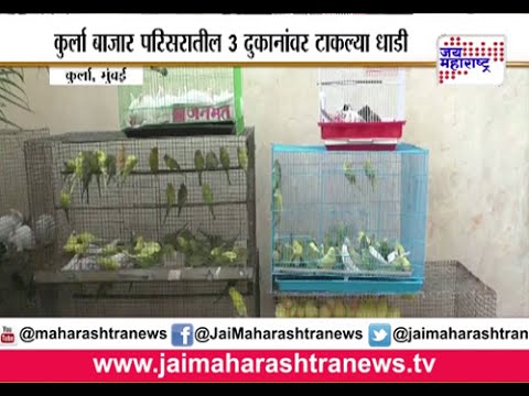 birds shop in kurla