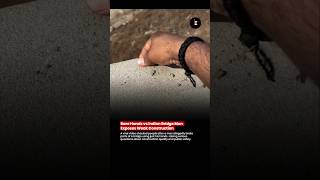 🚨 Bare Hands vs Bridge 😳 | Viral Video Sparks Safety Questions 🚨