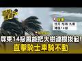 全台最強發警訊！屏東14級風能把大樹連根拔起 直擊騎士車騎不動 遊客拍照快站不住【直擊現場】