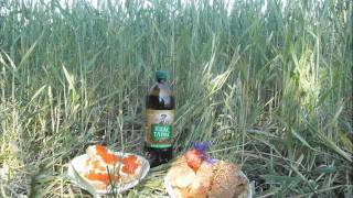 A culinary journey through the Ukraine