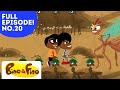 Ant Colony Roles and Responsibilities