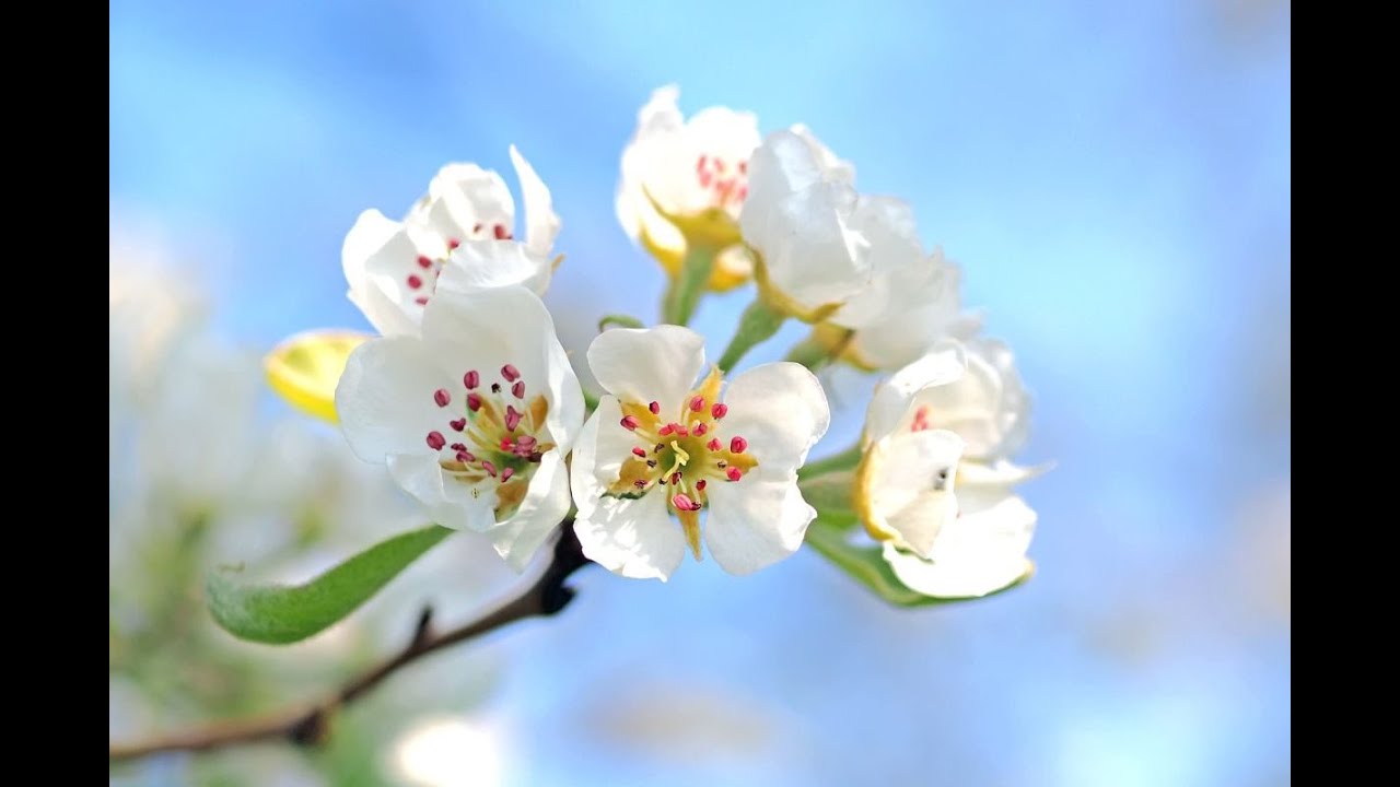 Per un’intimità felice: i fondamenti della lubrificazione vaginale