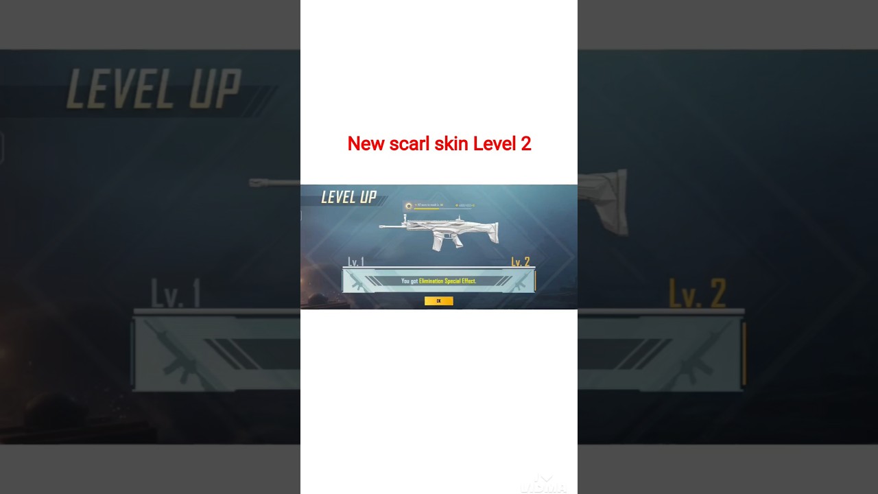 New Scar-I gun Skin Bgmi/  Level 2 upgrade 
