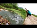 Fishing|BAAM Fish Catching|Fisher Man Catch With Cat Fish and Baam Fishes|Baam Fishing |Cat Fishing