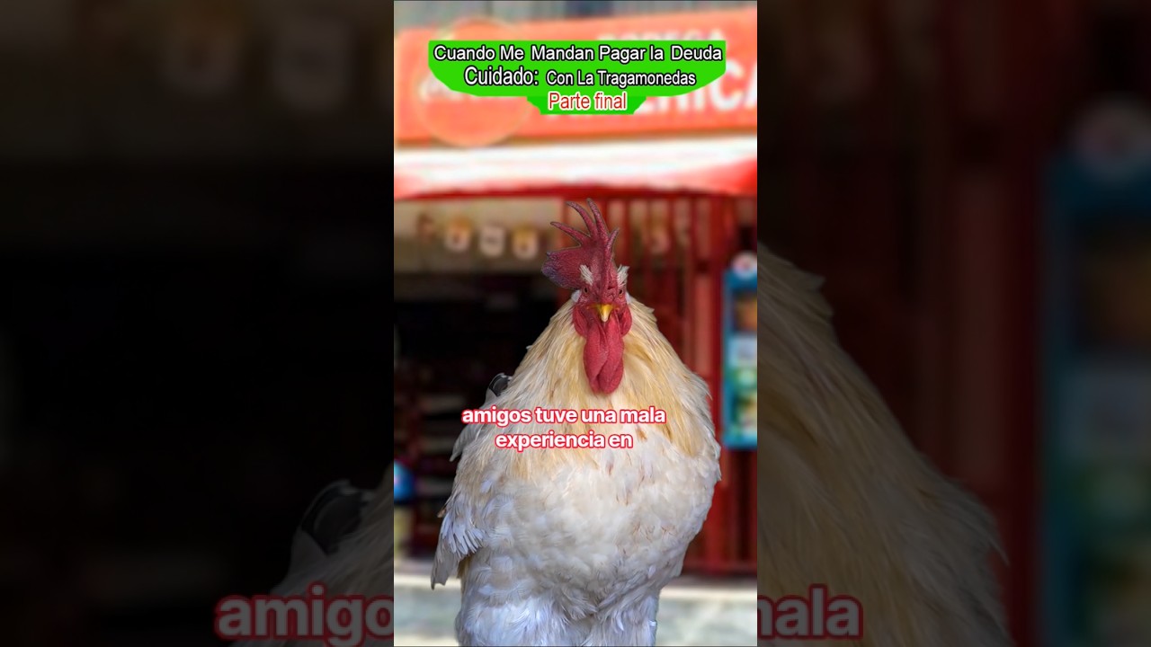 Original Title & Thumbnail