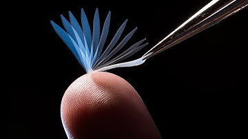 Mitch Anthamatten Explains a Shape-Memory Cycle Involving Strain Induced Crystallization