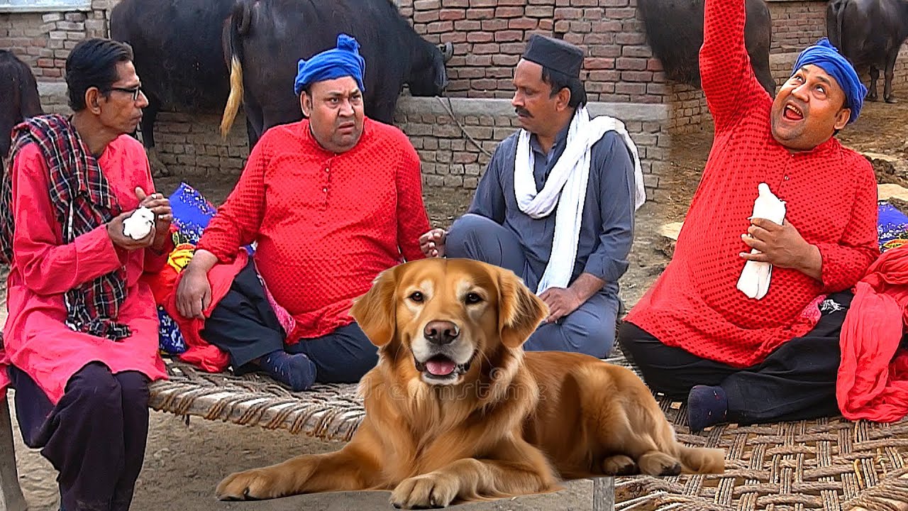 Tasleem Abbas and Soni New Funny Show || Dog For Sale @TasleemAbbasOfficial