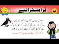 کوا اور مولوی صاحب کی لڑائی فل مزاحیہ لطیفہ Funny Joke Funny Latifa New Funny Starslines 
