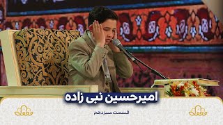 امیرحسین نبی زاده