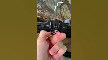 Уборка в террариуме эублефара