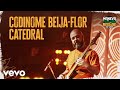 Maneva - Codinome Beija-Flor / Catedral (Tudo Vira Reggae - Ao Vivo)