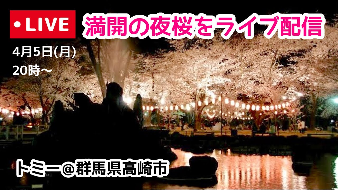 満開の夜桜をライブ配信 トミー 群馬県高崎市 Youtube