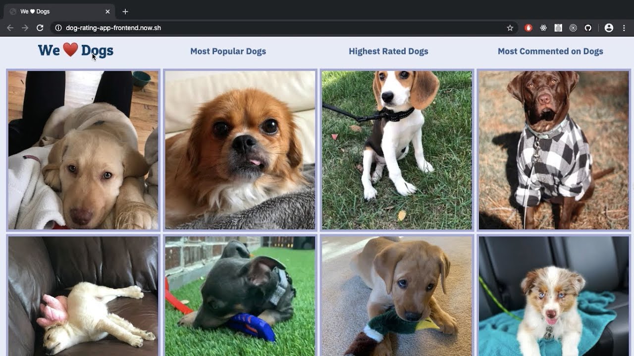 We Heart Dogs Demo - YouTube