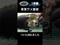 ハンドメイドスプーン1号機 ＃Shorts