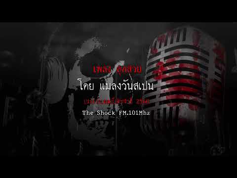 เพลง สุดสวย โดย แมลงวันสเปน  ผลงานการส่งประกวดเพลงผี ประจำปี 2560