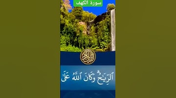 💚واضرب لهم مثل الحياة الدنيا 💙تلاوة جميلة للشيخ سعيد القاضي 🎙💥👍